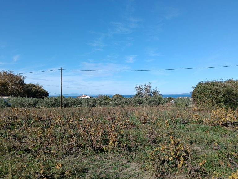 Building Plot in the peaceful area of Kampos Vourlioton